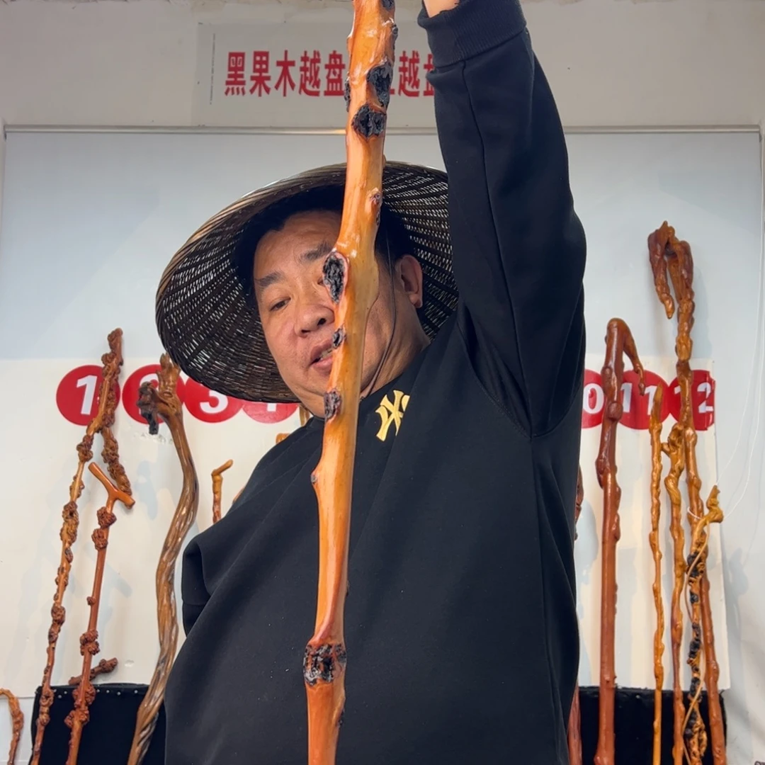 铭***阳黑果木其他黑果木666