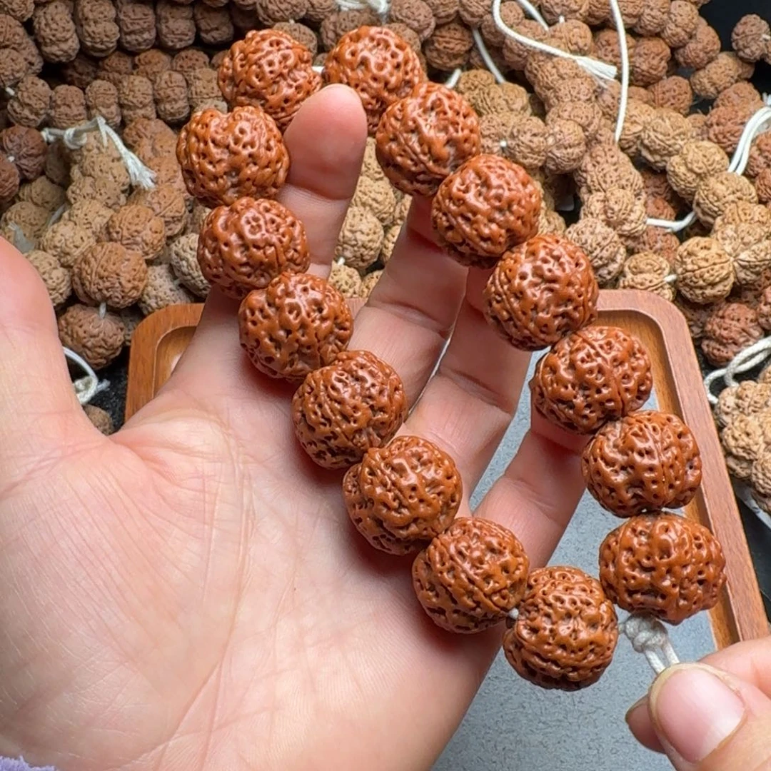 菩提菩提10号尼泊尔大金刚22满肉梁