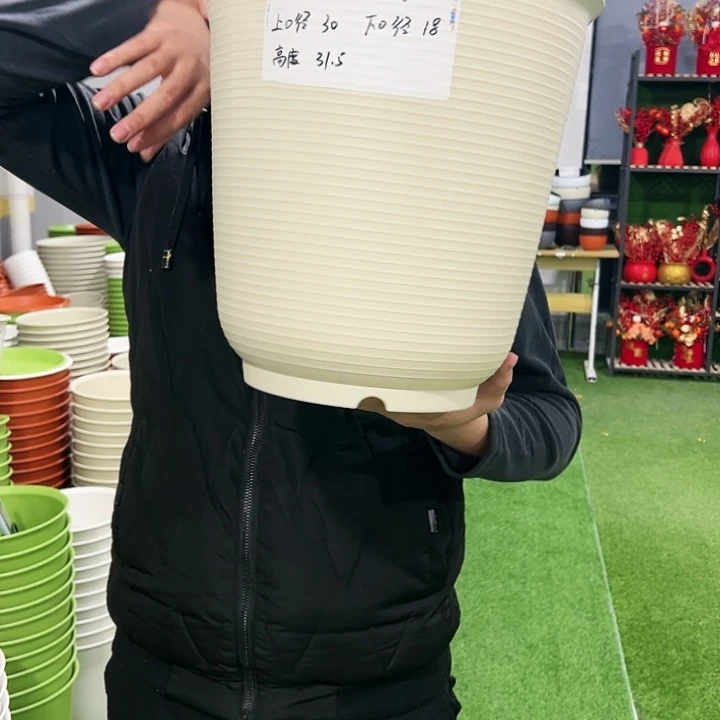 正品高陶口30高31白色3只无托