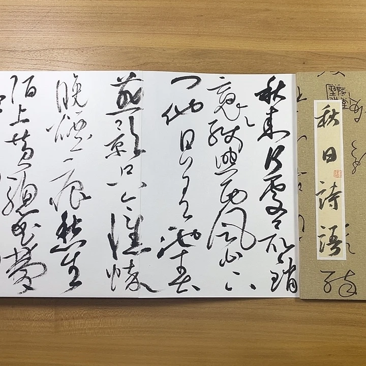 书法中书协会员作品