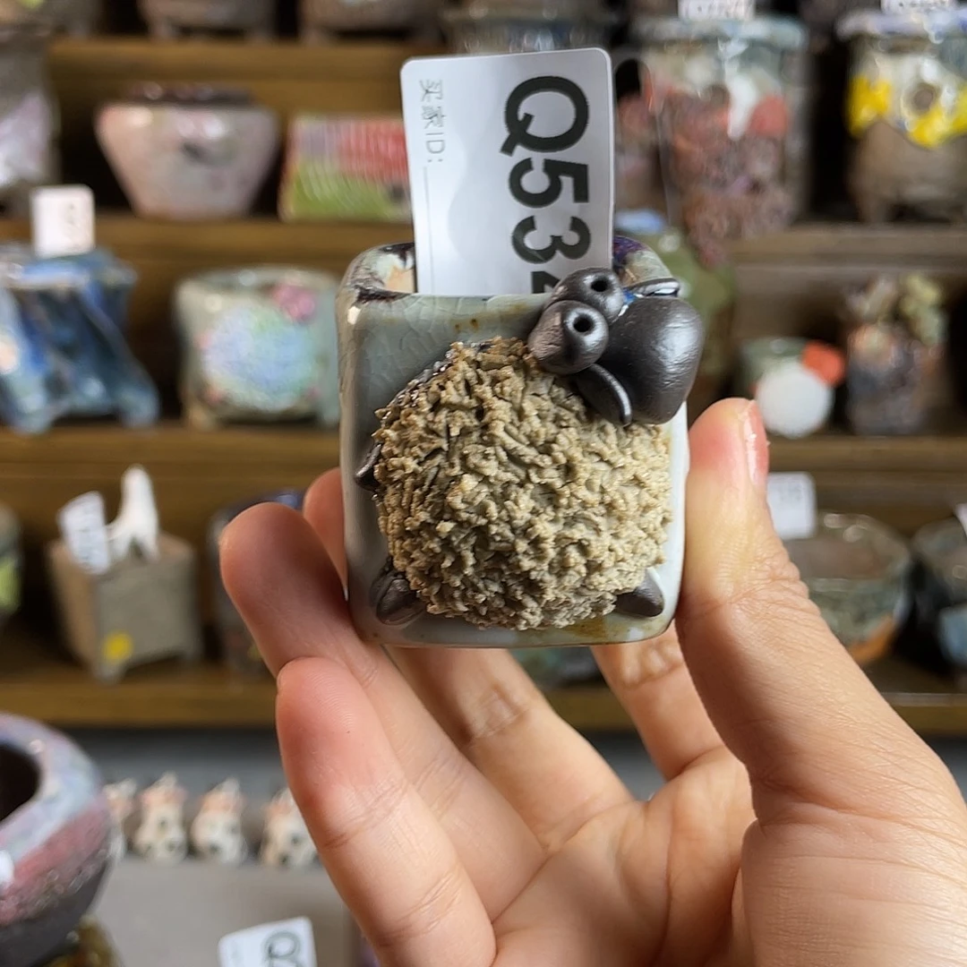 小白孤品 立体小羊盆 内口3.2左右
