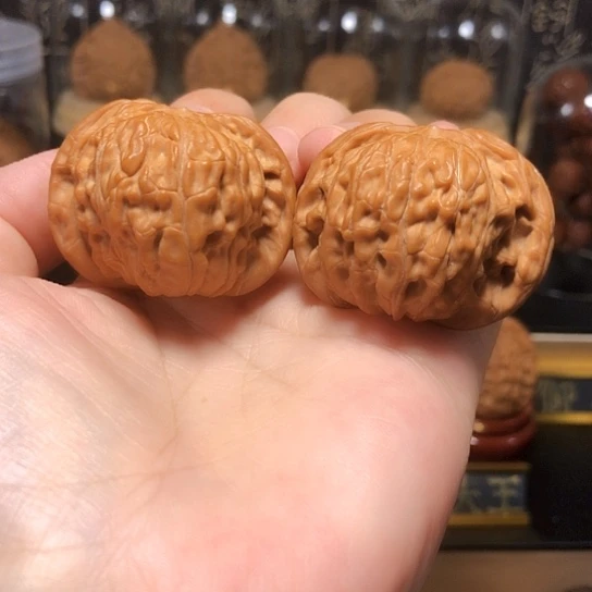 老树山地红皮闷尖磨