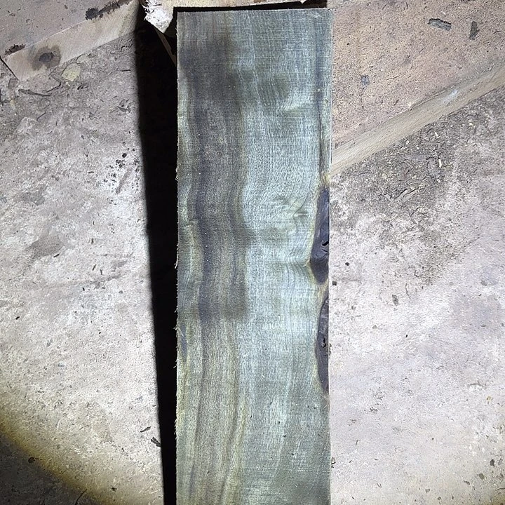 金丝楠啊啊啊啊啊啊