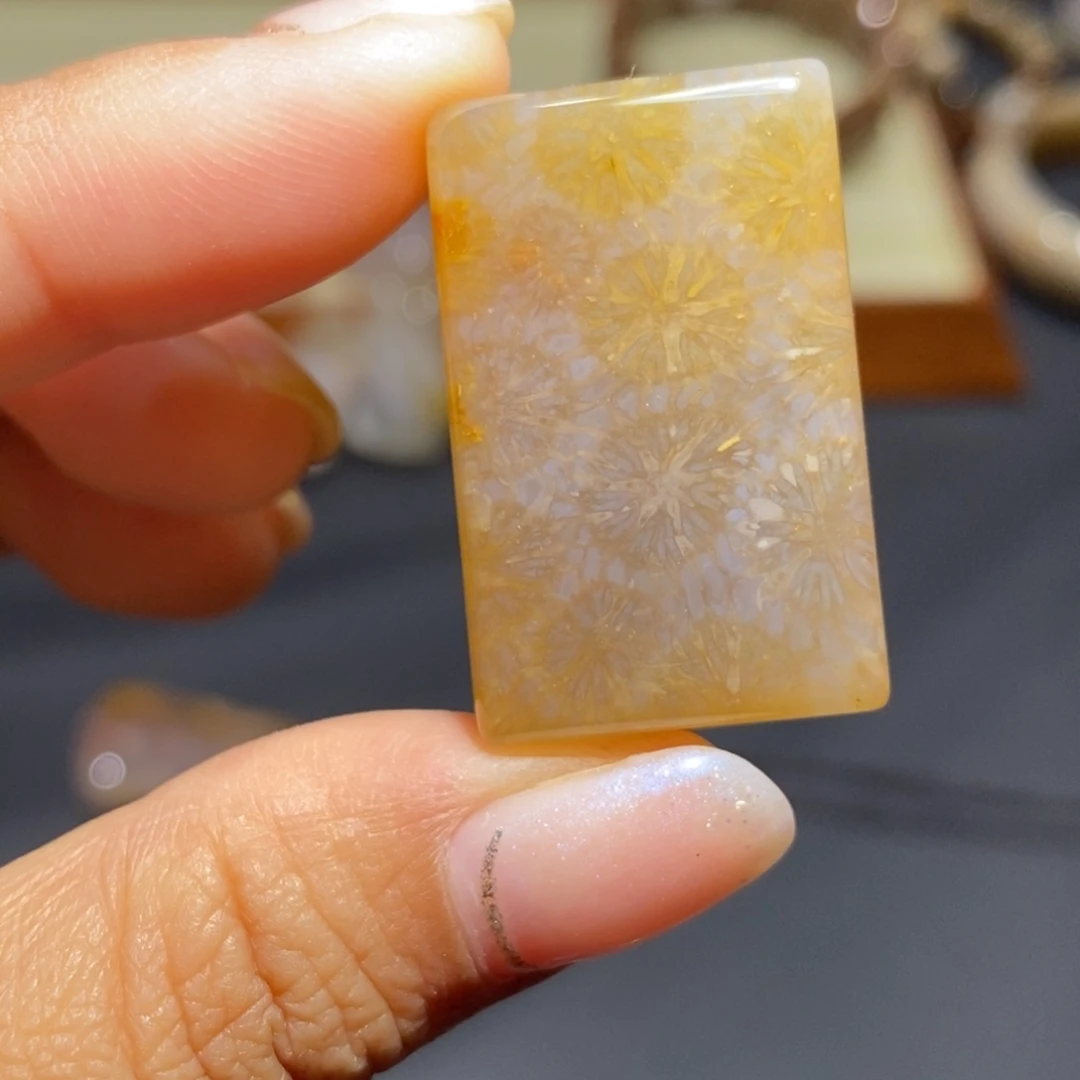 【闪购商品】未镶嵌珊瑚玉硅化玉