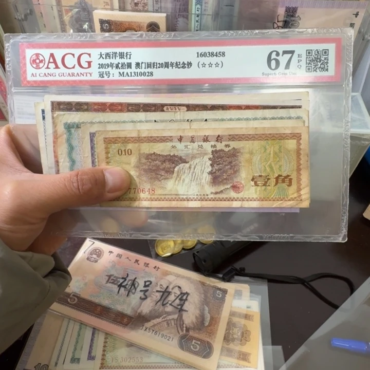 我***虎000000000000000017