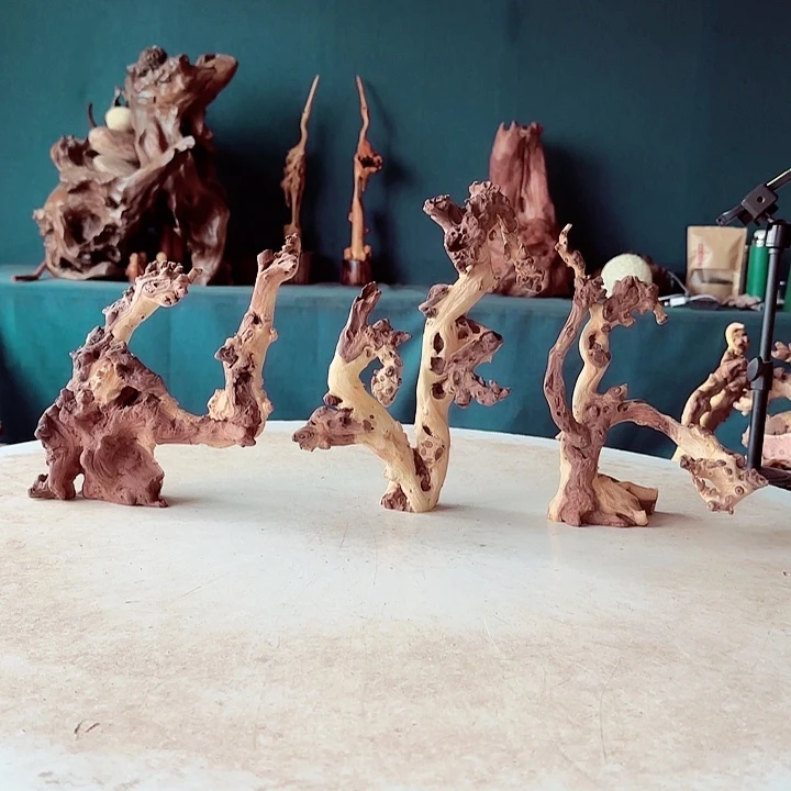 黑果木原**林425金丝红木羊蹄甲半成品到手3件