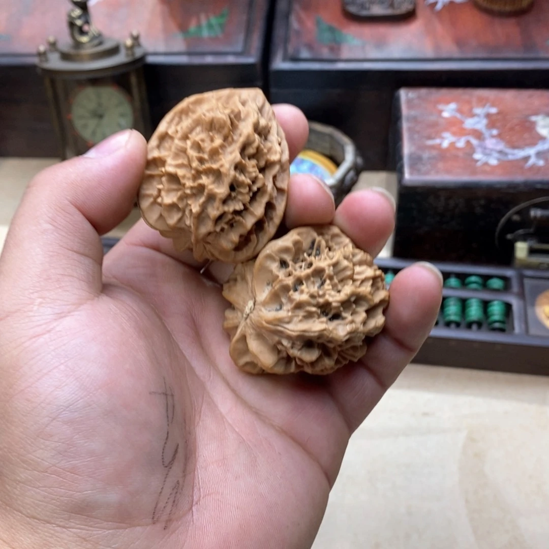 大叶紫檀（黑酸枝木类）