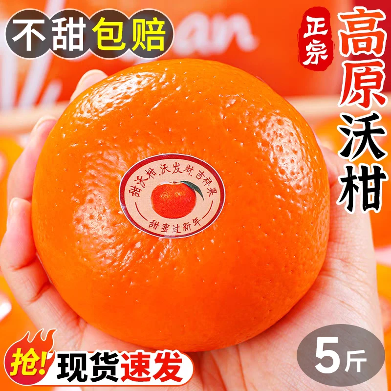 云南沃柑5斤现摘现发当季高原薄皮沃柑新鲜水果冰糖纯甜无渣橘子