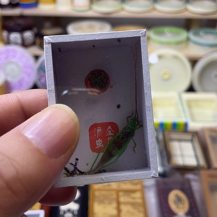 t***t补差价1啊啊啊啊啊啊啊啊啊啊