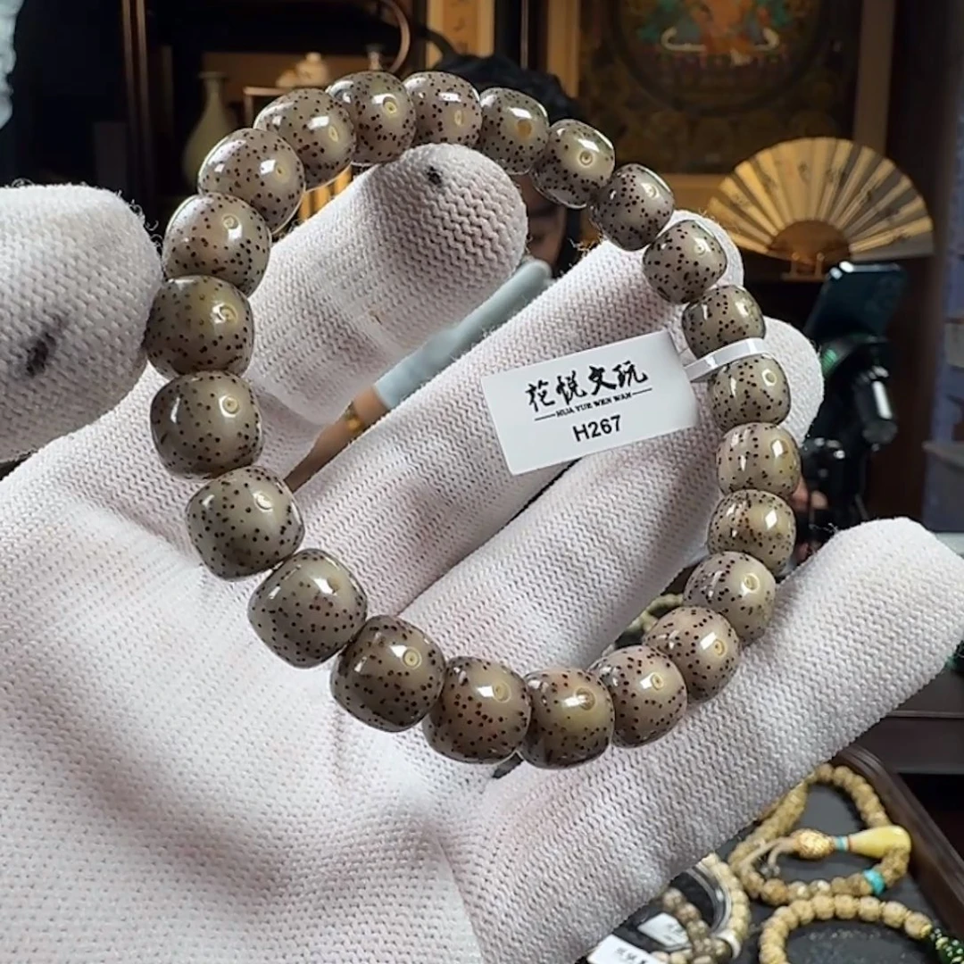 手串星月菩提10x9 糯冰针尖星 H267