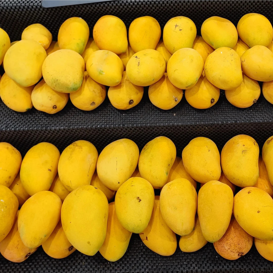 新鲜小台芒500g--2斤散装（不切易氧化)