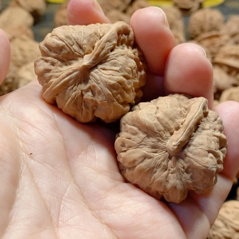 文玩核桃把件异性一对