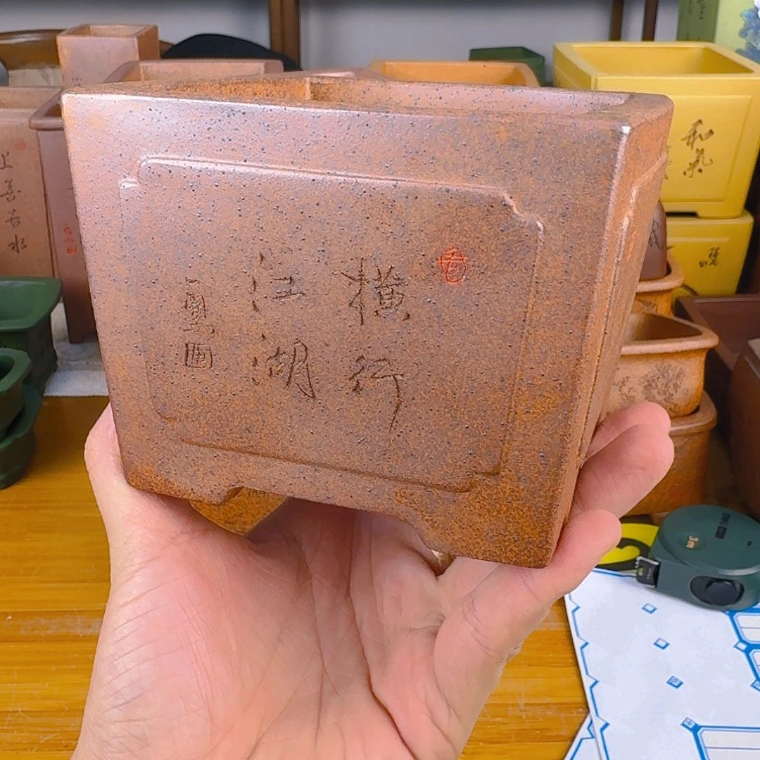 紫砂花盆辛*了紫砂花盆