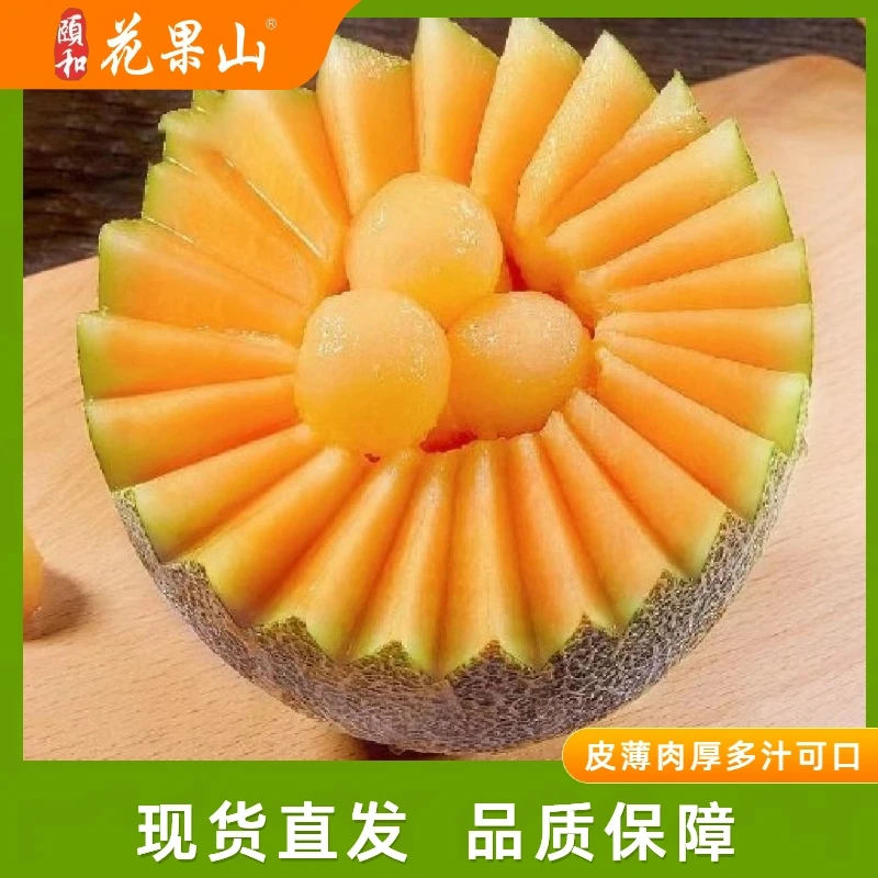 海南晓蜜 一藤一瓜头茬脆甜皮薄肉厚多汁沙地蜜瓜新鲜甜瓜