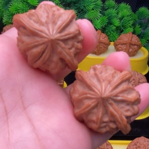 把件文玩核桃四棱异形37全品