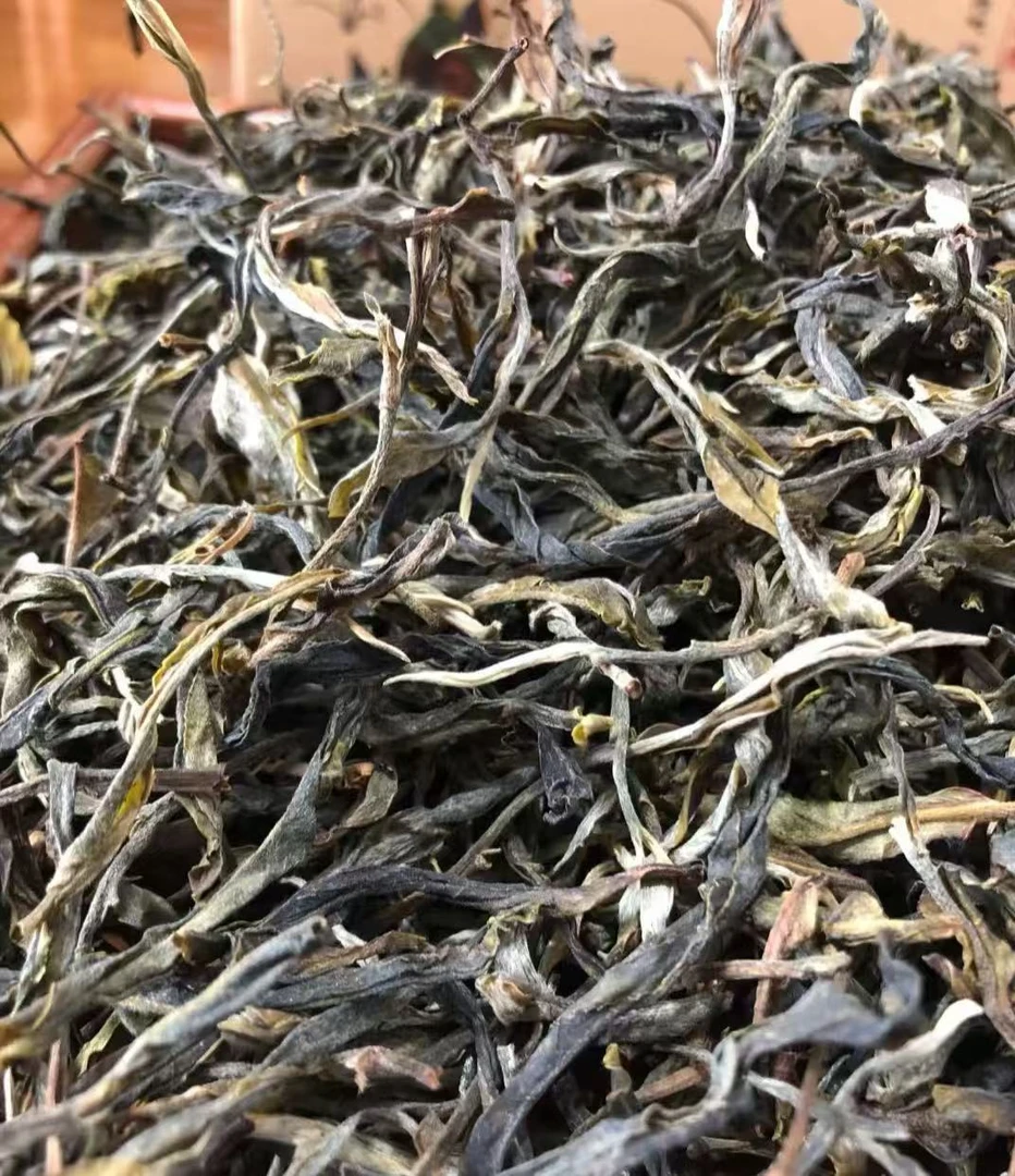 普洱茶   太阳箐    散生茶