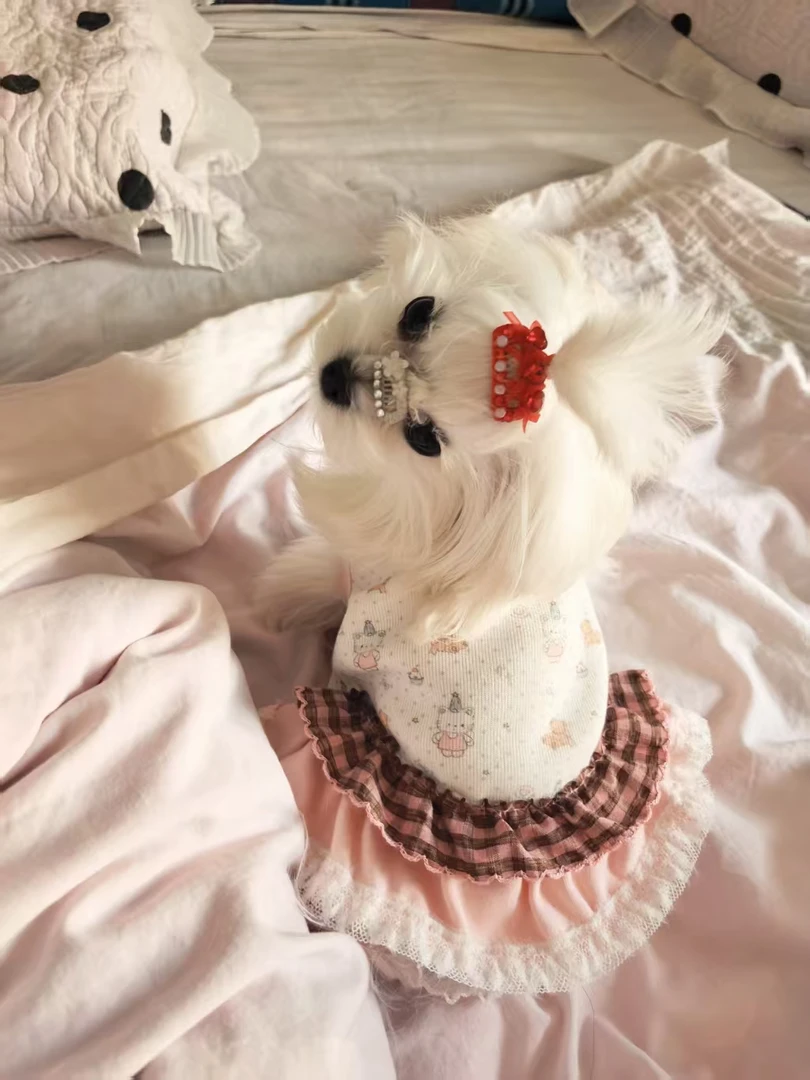 狗狗猫猫柔软加绒居家睡衣裙