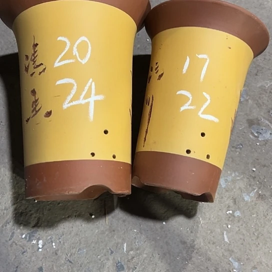 紫砂工艺厂……紫砂工艺厂……