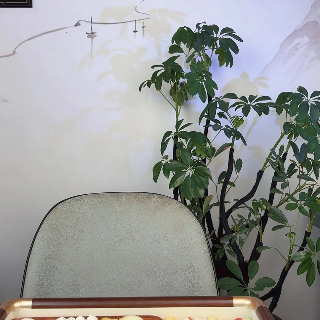 手链琥珀未镶嵌初见珠宝蜜蜡手串