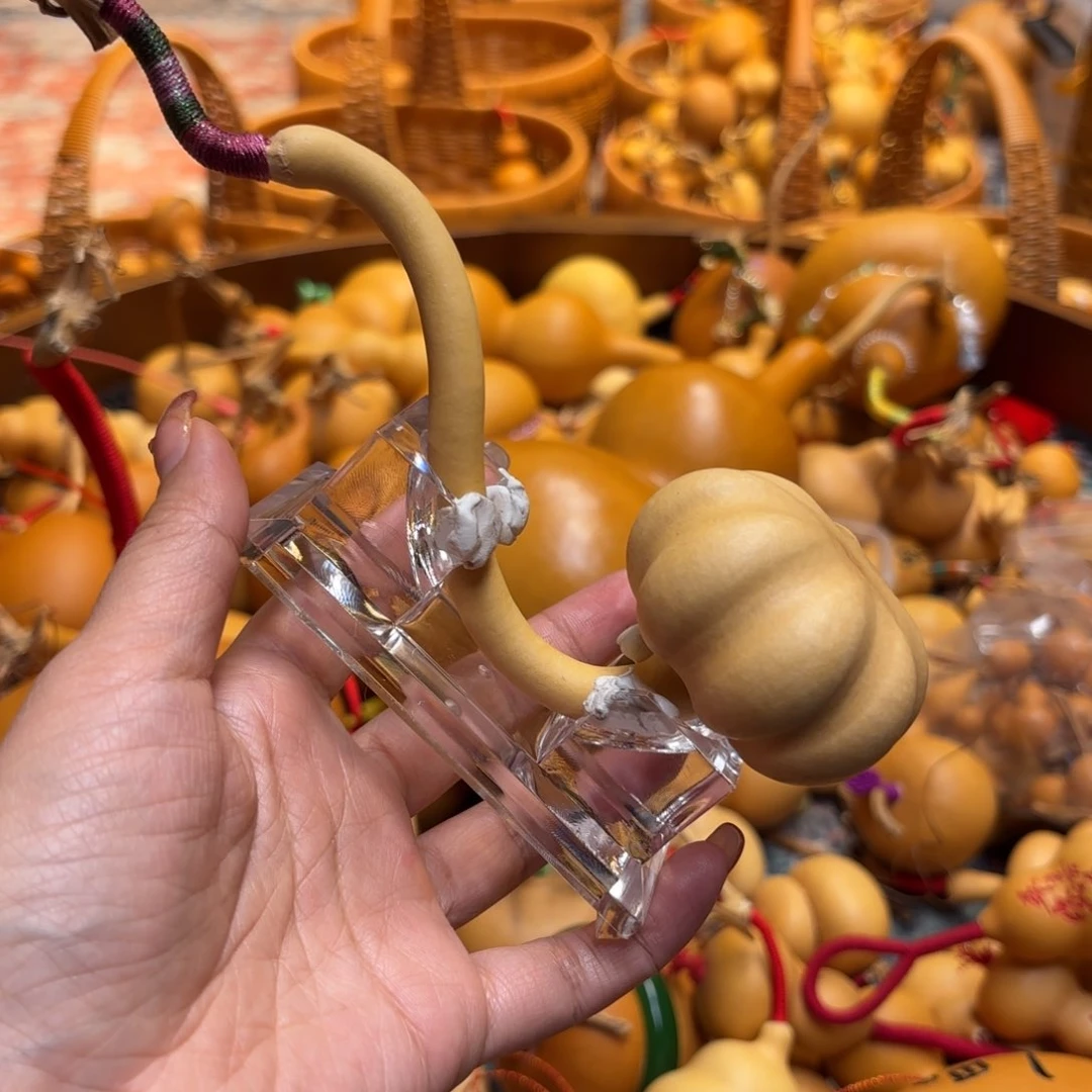 我们的生活也是如此的丰富多彩