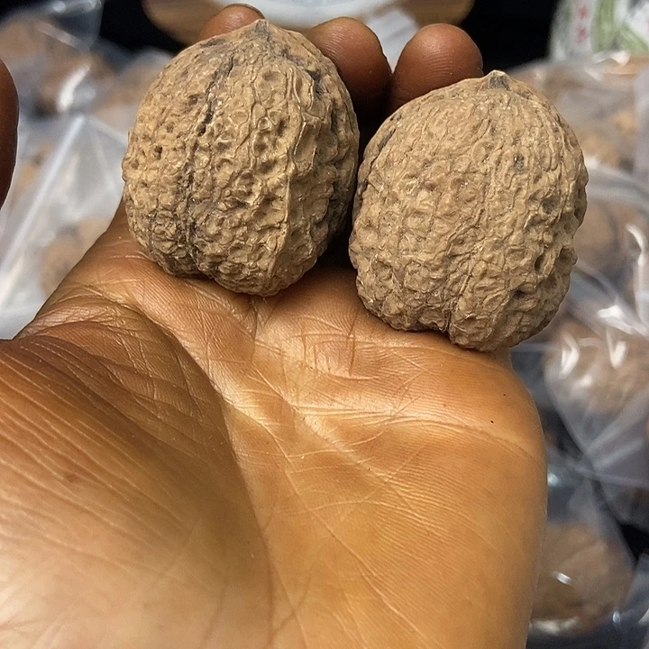 把件文玩核桃云南铁核桃基地20