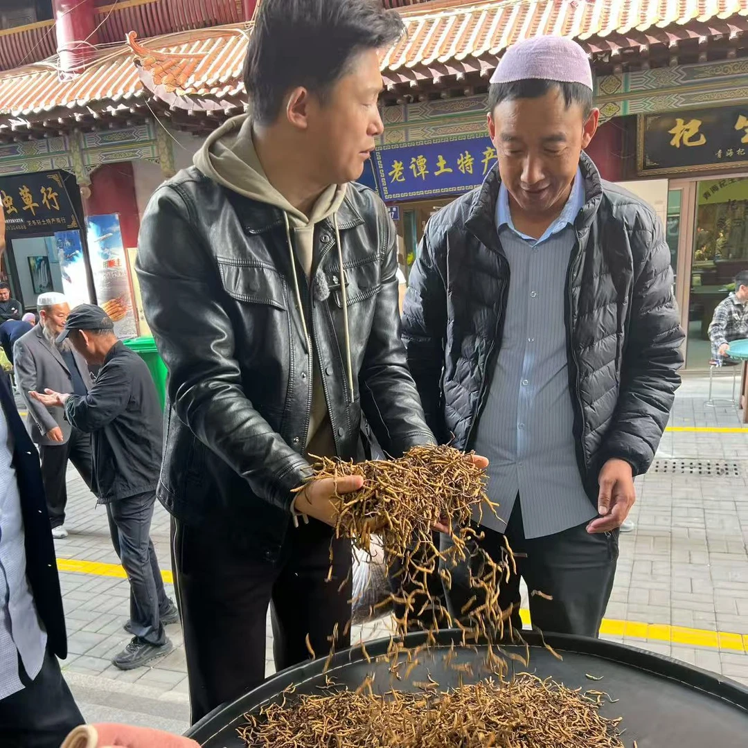 【冬虫夏草】口粮草 现场实收 自然晒干 品质滋补实拍图