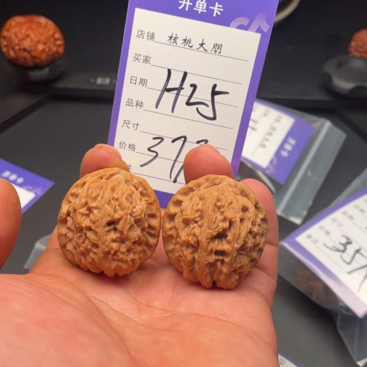 核桃白狮子37尺寸