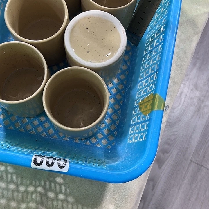 不打孔无孔陶瓷花盆满9.9发