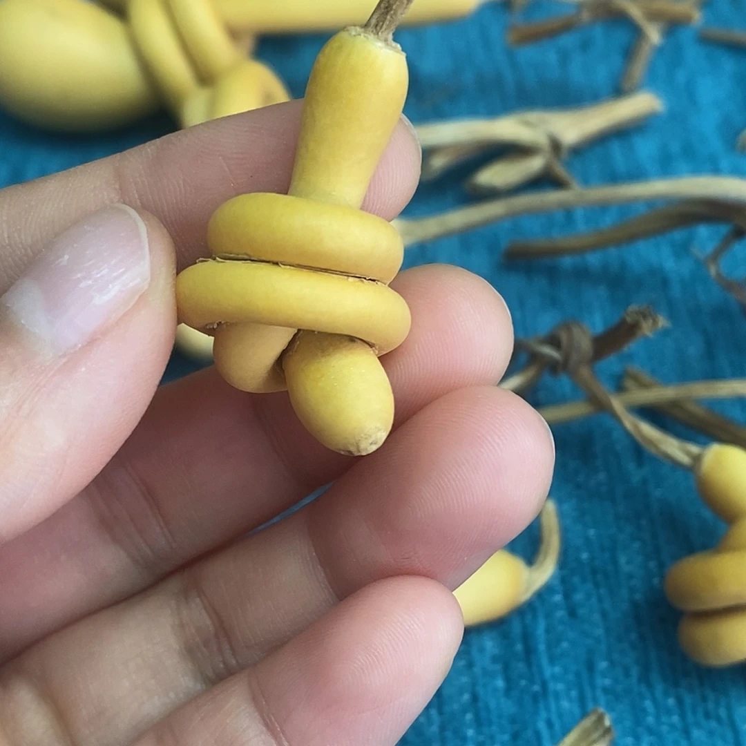 ʚ***ɞ一把葫芦便宜漏了