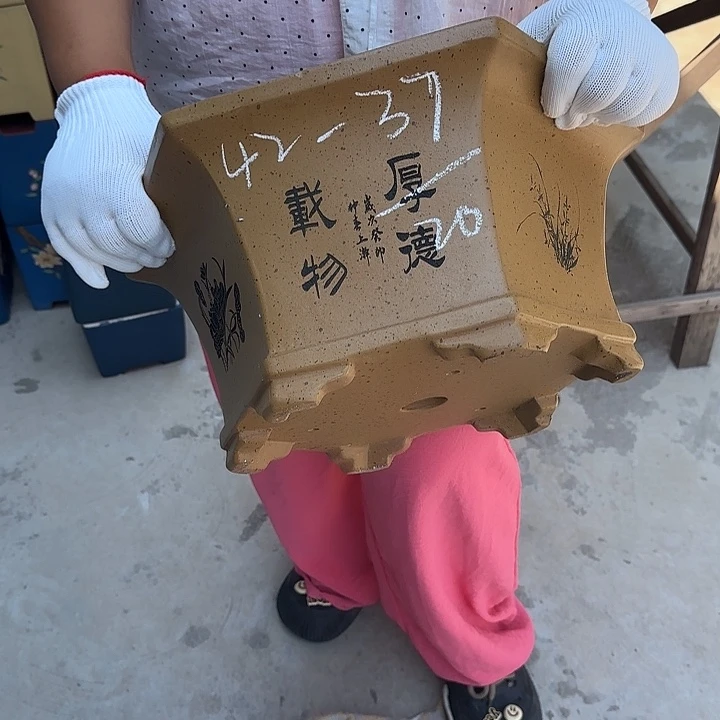 紫砂花盆这是我的