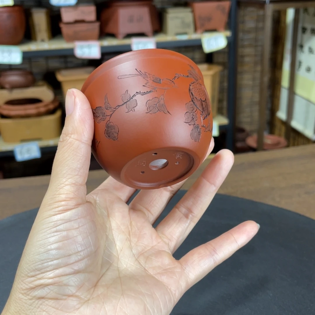 紫砂花盆你就这样