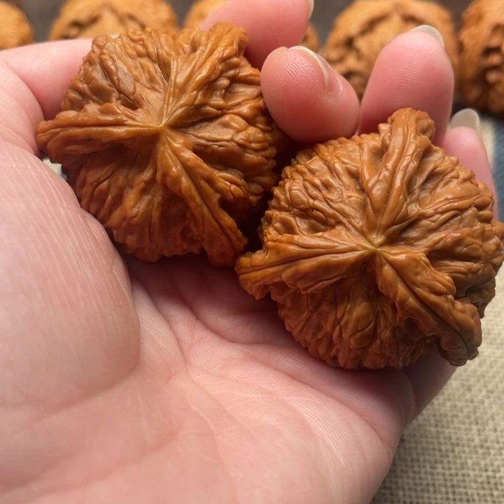 雪***青核桃白狮子42核桃