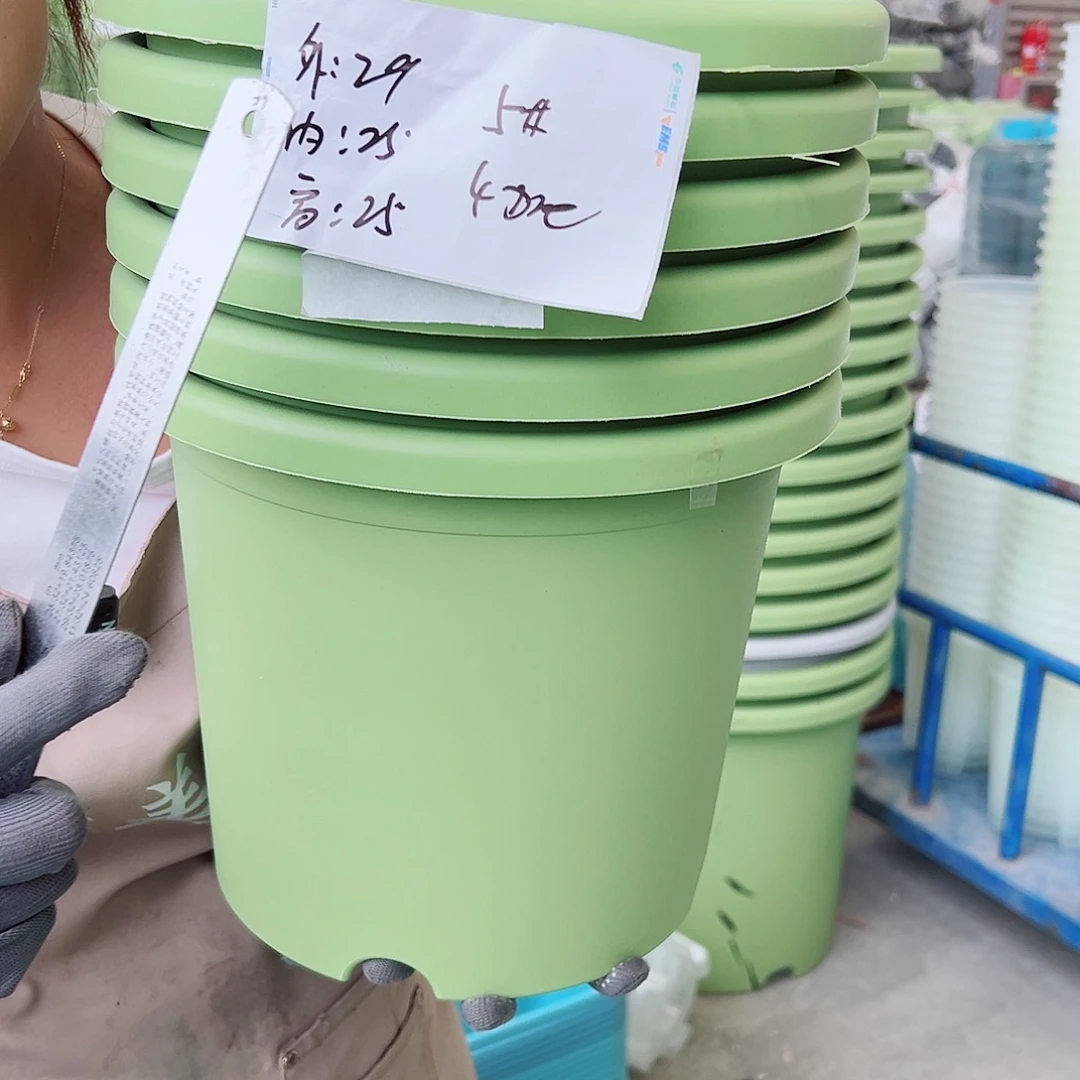 瑕疵四季盆5#果绿色6个无托