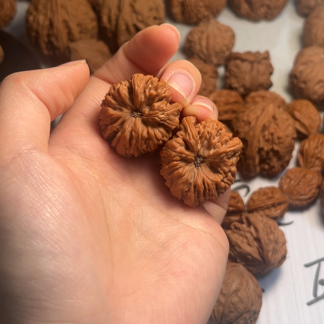 发***酥大叶紫檀（黑酸枝木类）