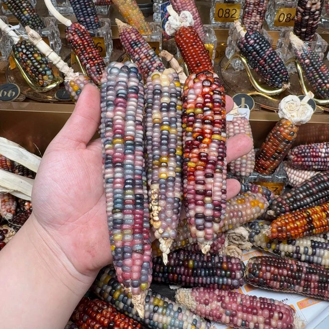 柏香籽/百香籽吊坠欢****常