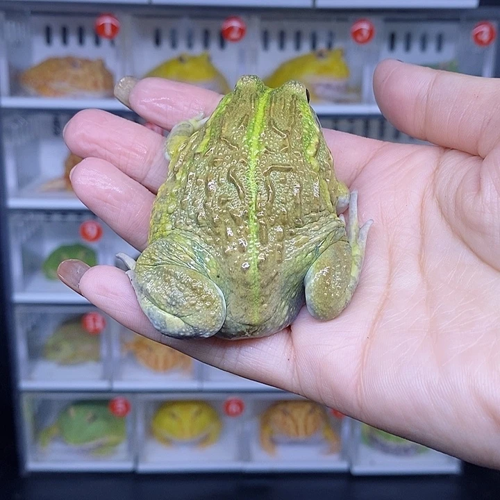 特价秒杀现货特价瑕疵