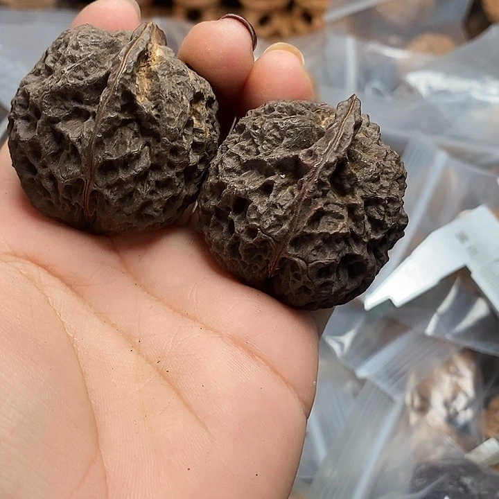 文玩核桃把件云南文玩核桃43h