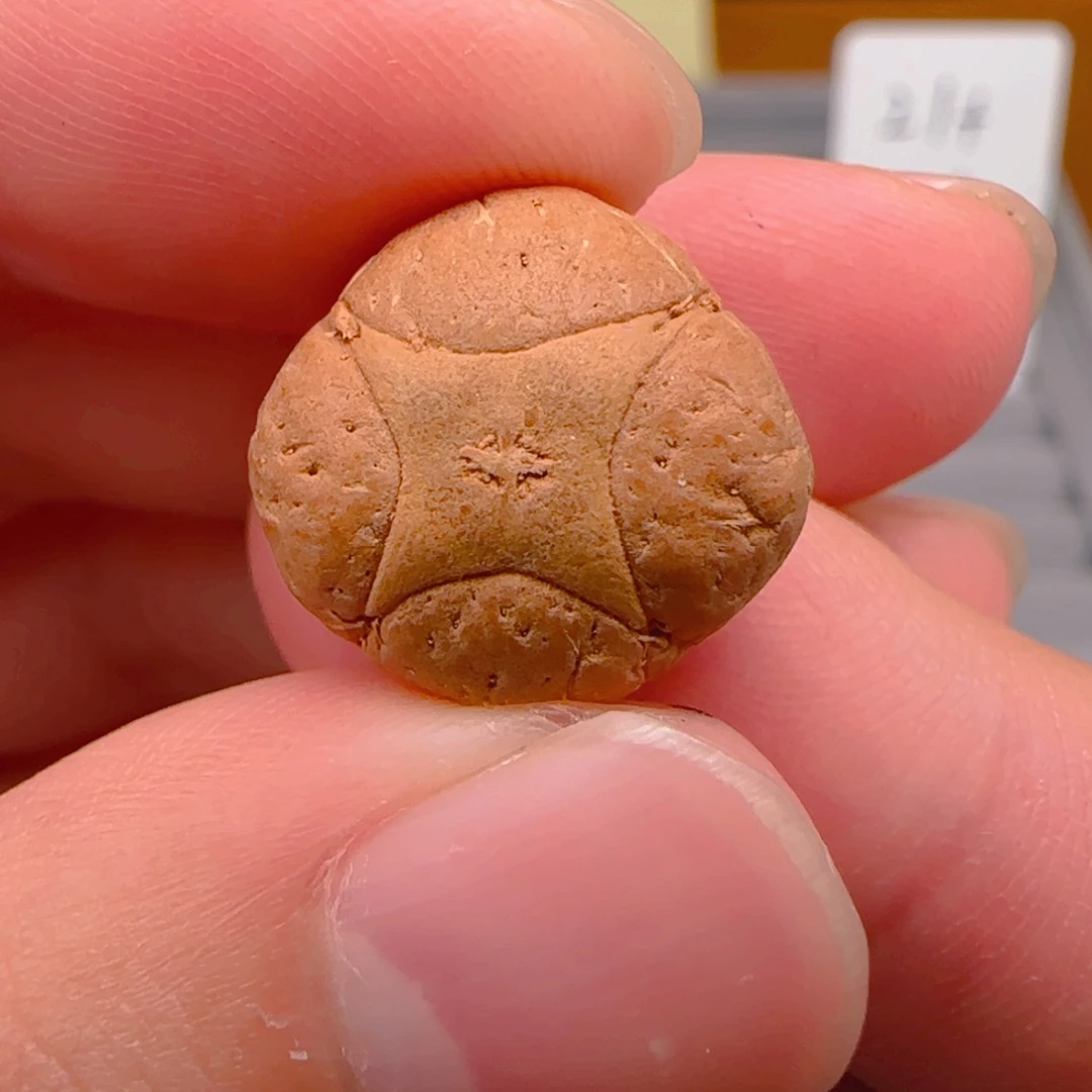 *****凤眼菩提吊坠福袋麒麟