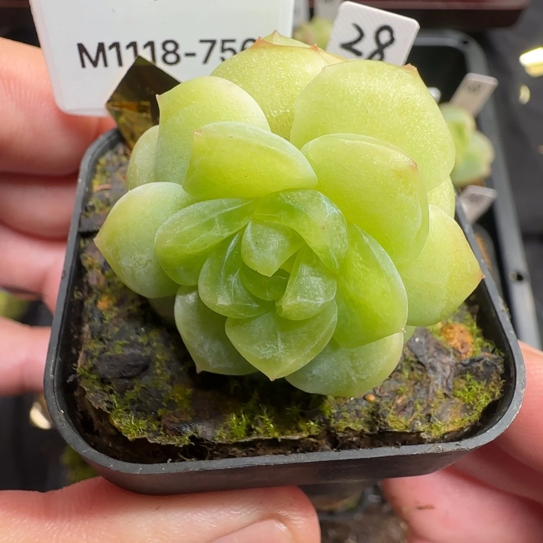 756哈哈哈哈哈哈哈哈哈