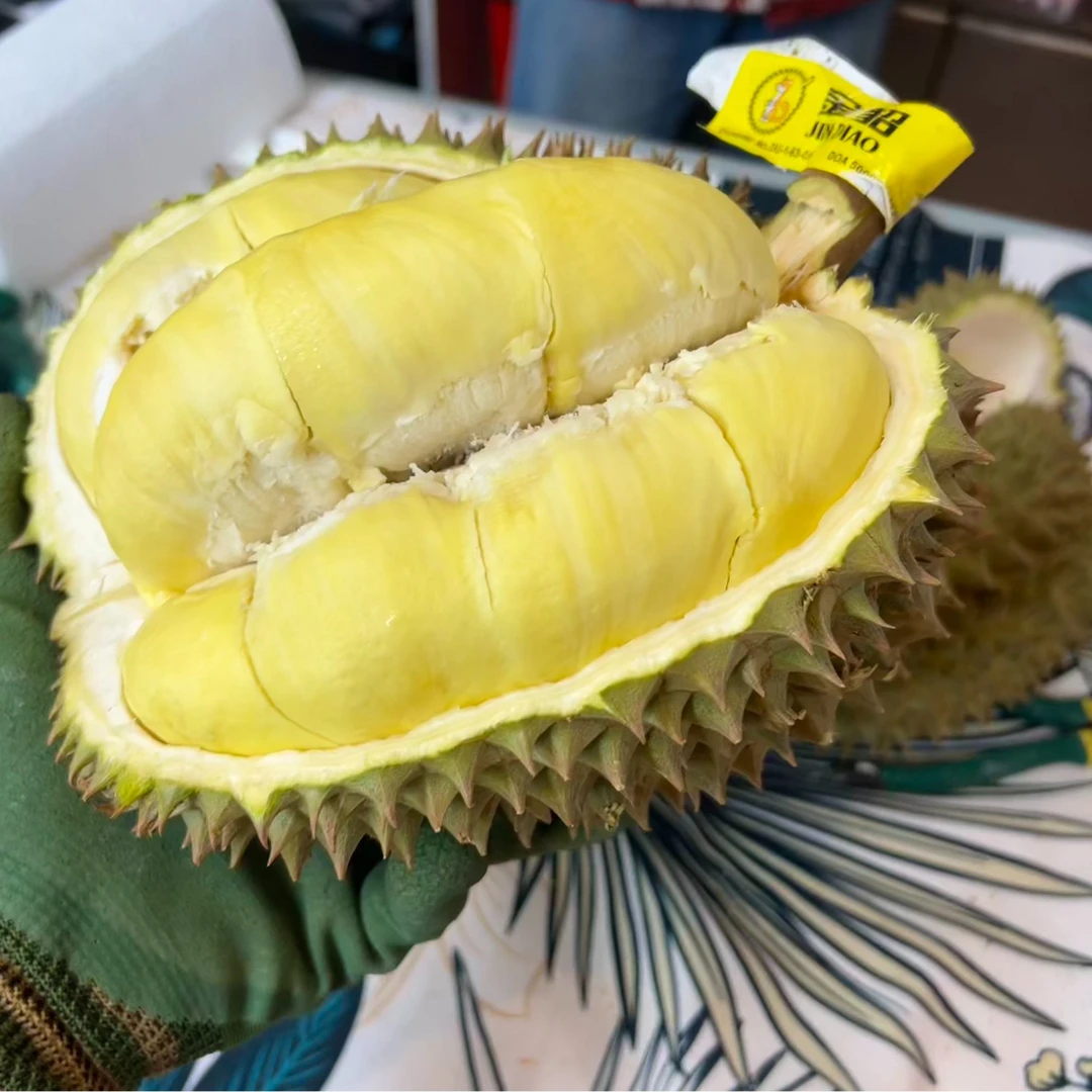 【金貂】泰国空运树熟金枕榴莲精选双AA果型一级果肉自然熟老树果