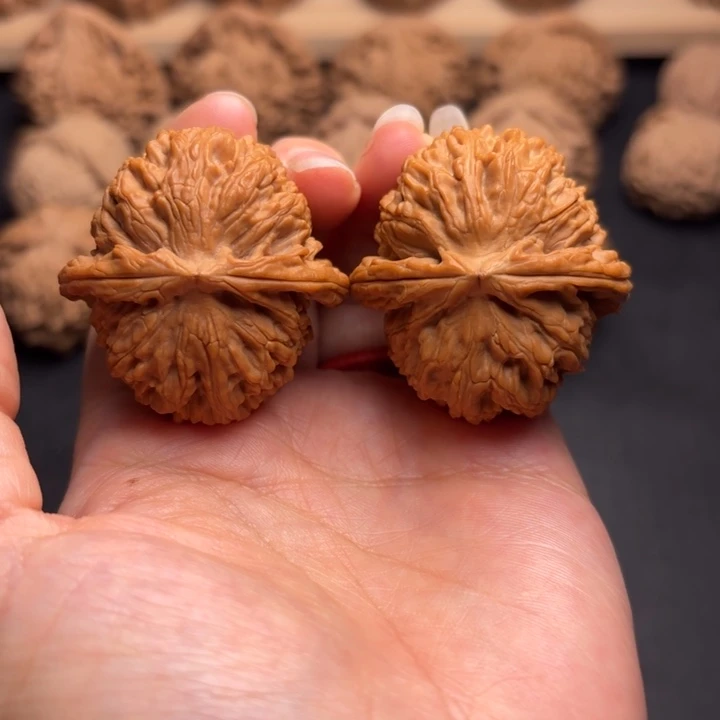 文玩核桃把件38白狮子