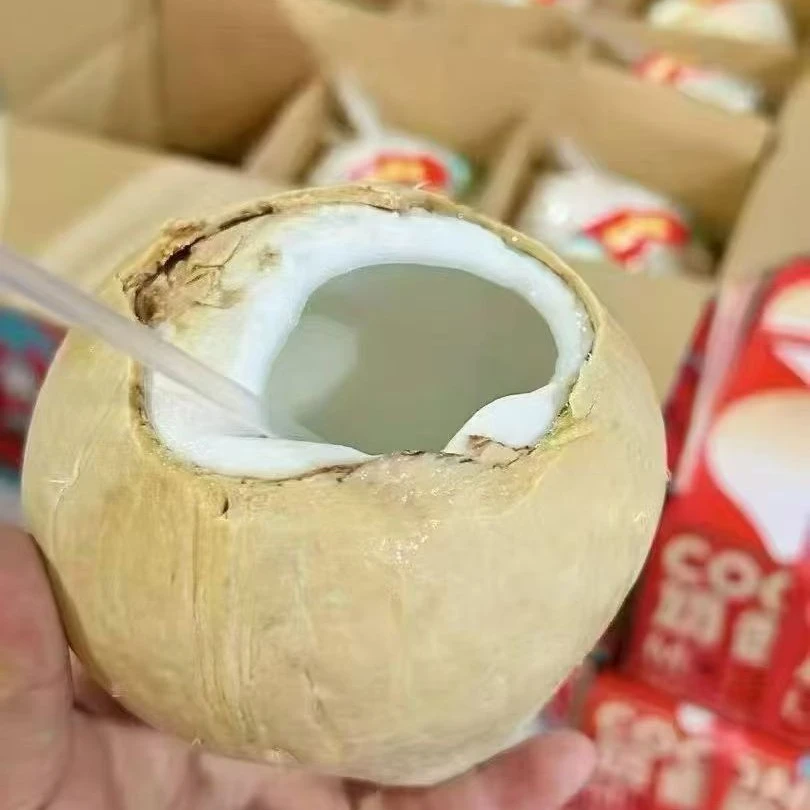 越南香水椰皇，壳薄汁多超甜，奶香浓郁
