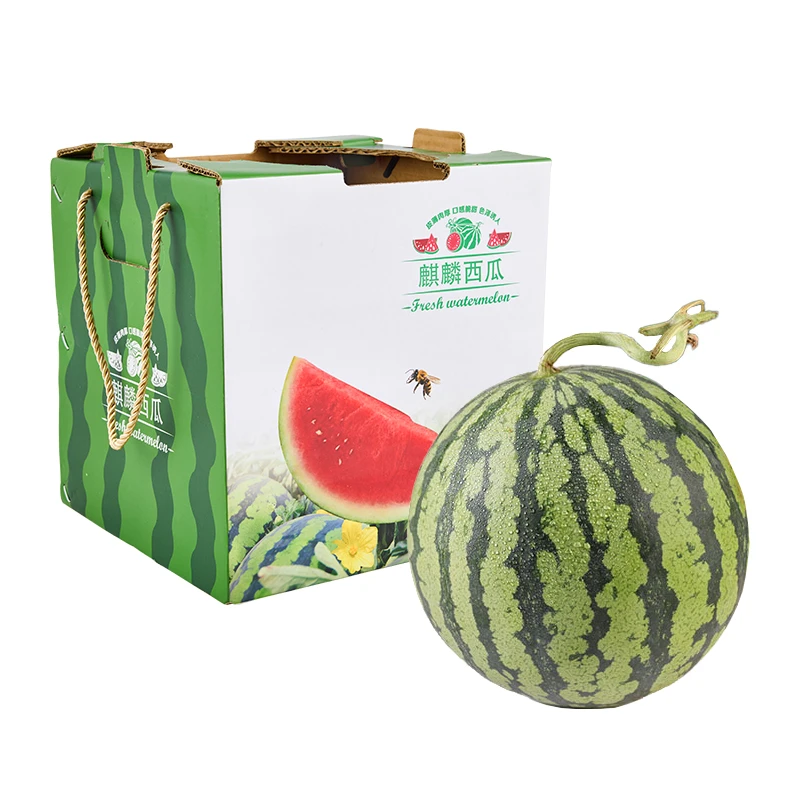 蜜蜂授粉有籽西瓜1个装4kg(箱装)