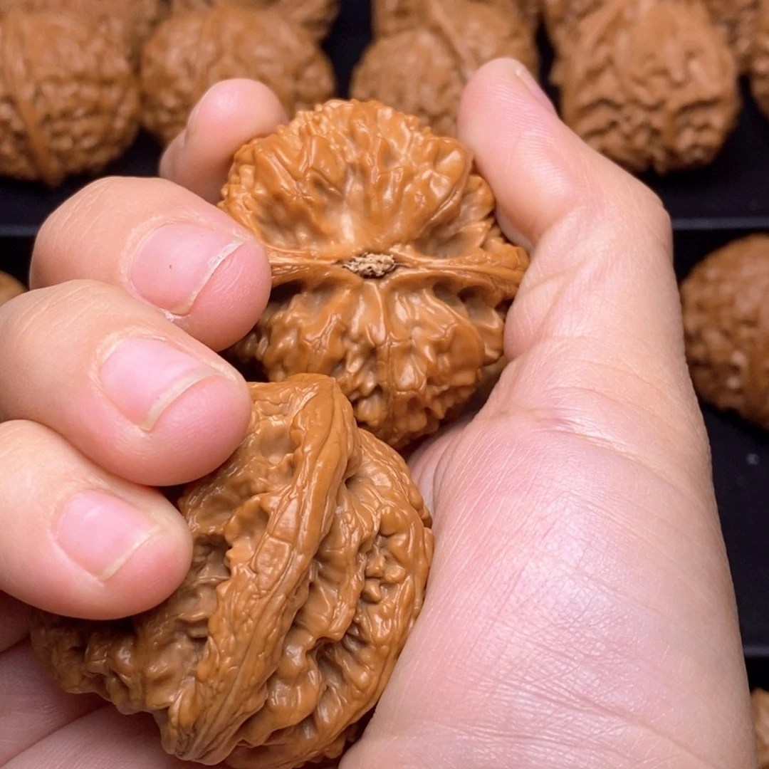 文玩核桃把件港***长粗筋