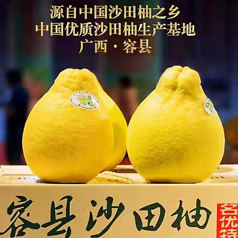 【正宗容县沙田柚】优选老树果  纯甜不酸 清甜爽口4.5斤/9斤彩箱装