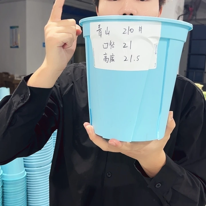 青山口21高21蓝色10只无托