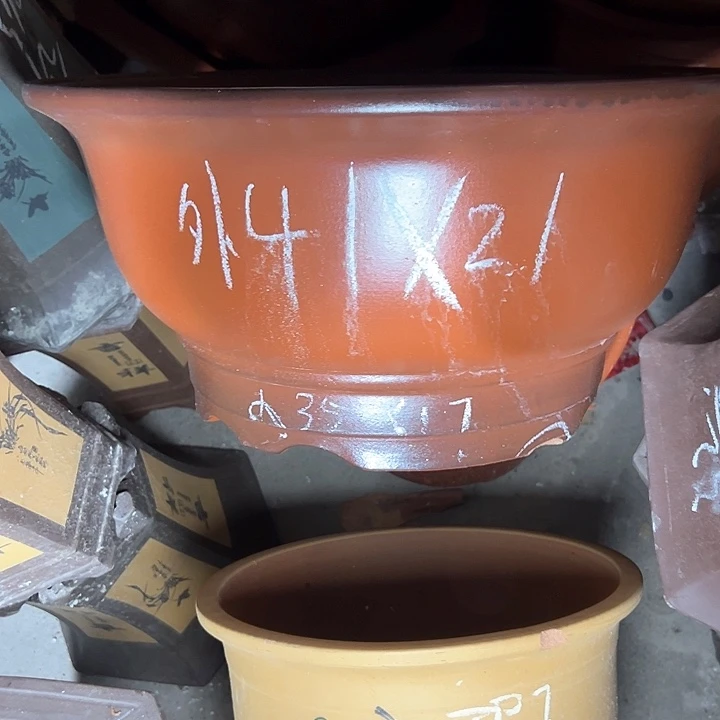 周深周深周深周深周深周深