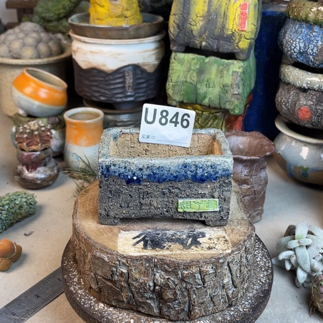 开播福利 陶瓷花盆 默认微次