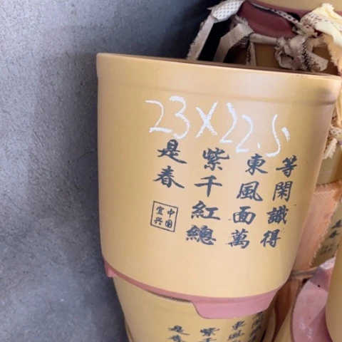 100-5。      组合