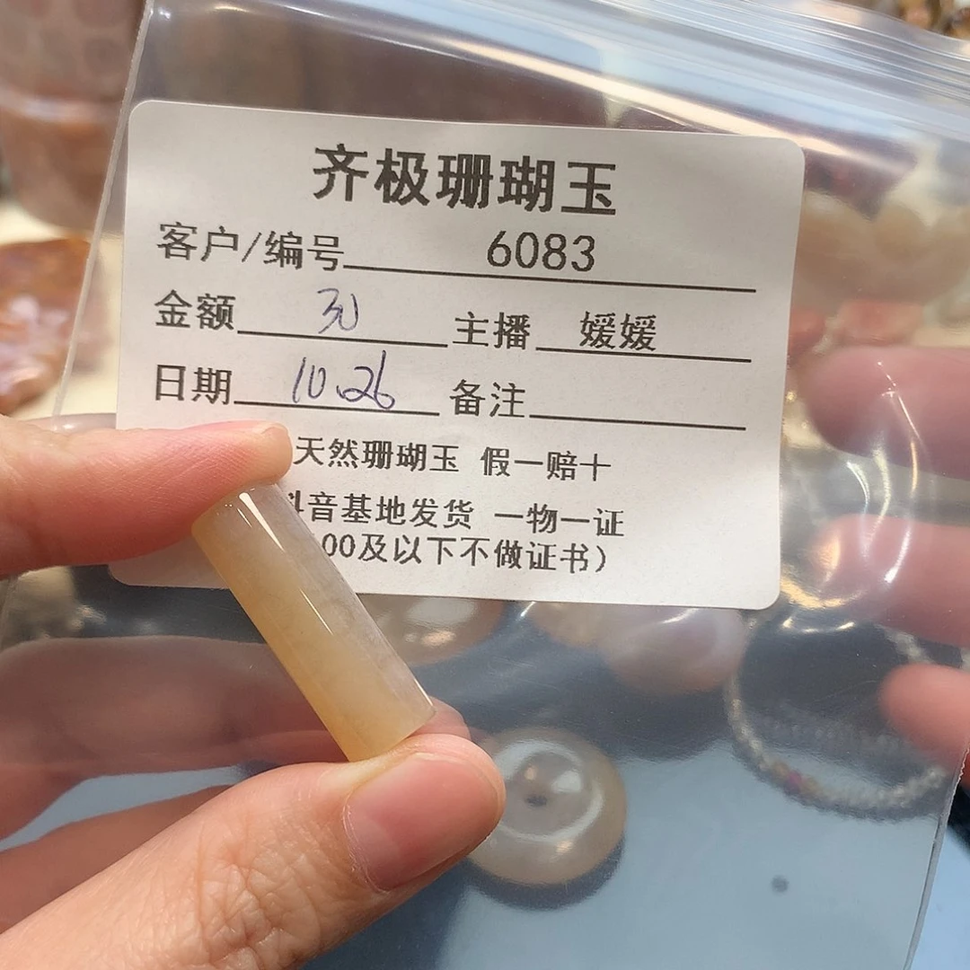 颈饰未镶嵌硅化珊瑚（珊瑚玉）?***?